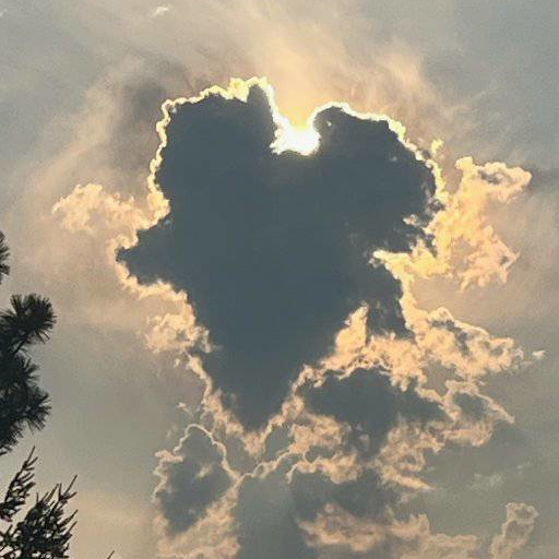 The Father’s Heart